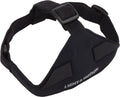 Light and Motion Headstrap: Black