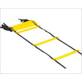 Prism Smart Acceleration Ladder 30'